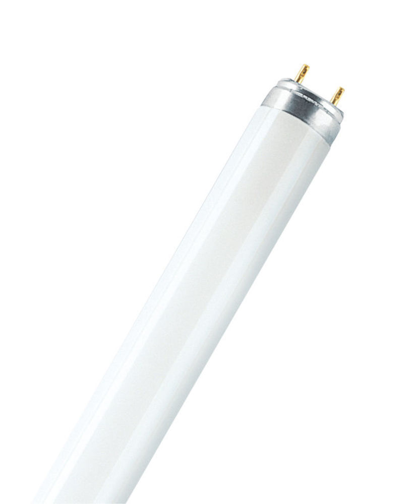 18W T8 Fluorescent Tube 590mm G13