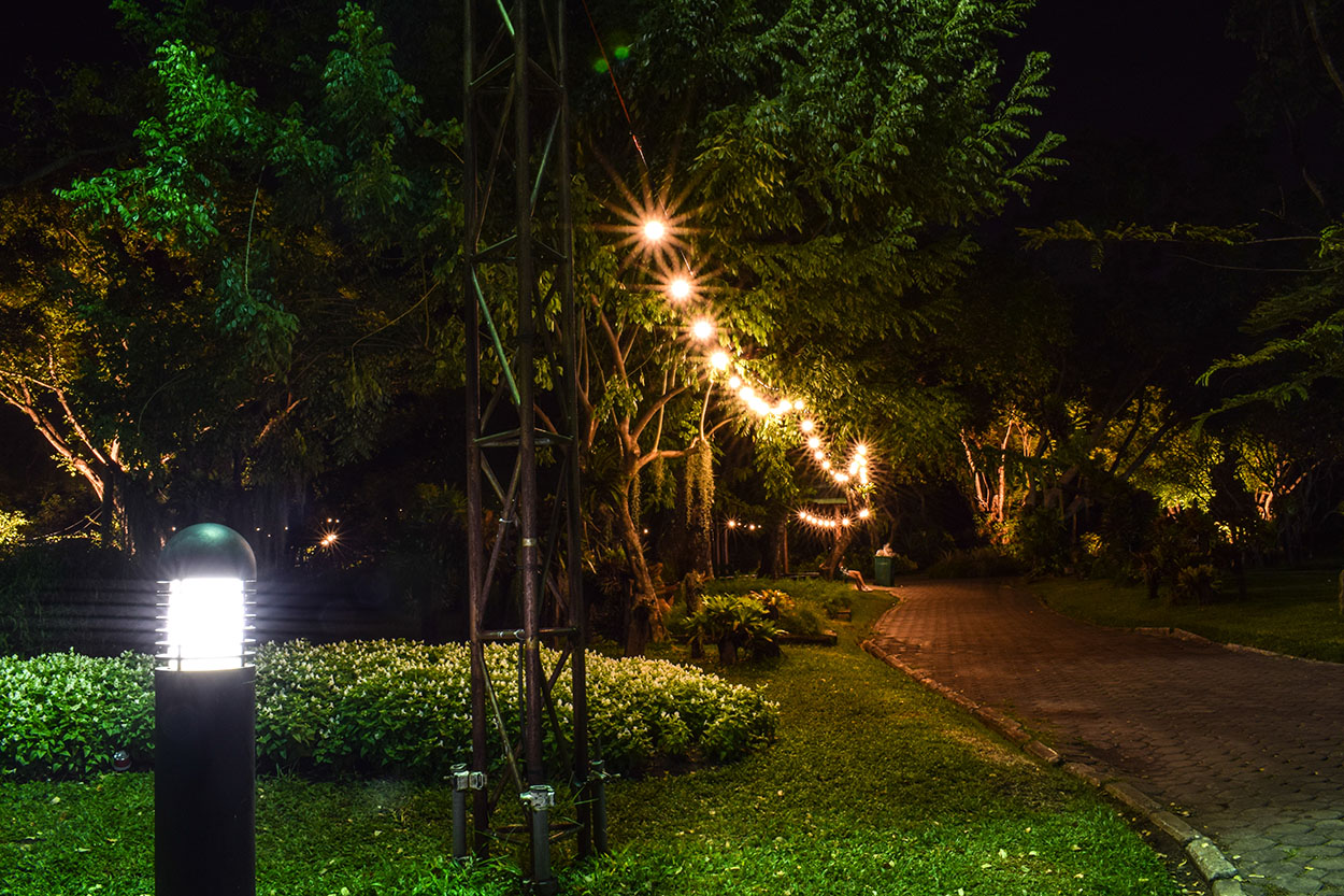 Outdoor Lighting Ideas: Elegantly Frame Your Garden Space