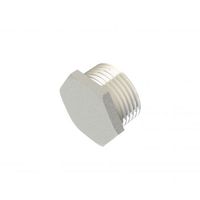 Show details for  Hexagon Stopping Plug, 32mm, BZP