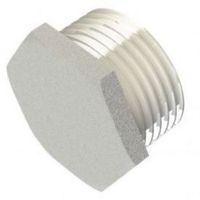 Show details for  Hexagon Stopping Plug, 32mm, BZP