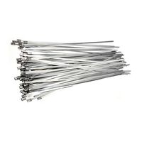Show details for  Cable Ties (150 x 4.6mm) - Stainless Steel [Pack of 100]