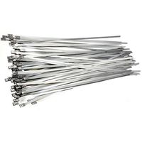 Show details for  Cable Ties (300 x 4.6mm) - Stainless Steel [Pack of 100]