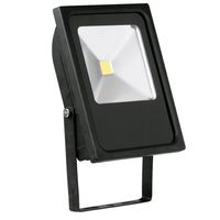 Show details for  50W IP65 Floodlight