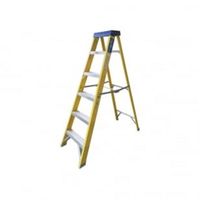 Show details for  Fibreglass SwingBack Ladders 10 Tread