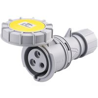 Show details for  IP67 Industrial Connector, 32A, 2P+E, 110V, Yellow