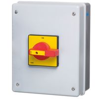 Show details for  100A 4 Pole Metal Clad Enclosed Switch-Disconnector (IP54)