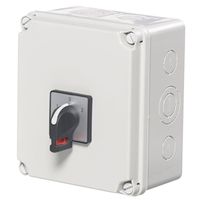 Show details for  25A 2 Pole Insulated Enclosed Changeover Switch (IP65)