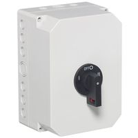 Show details for  100A 2 Pole Insulated Enclosed Changeover Switch (IP65)