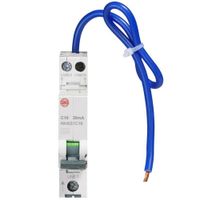 Show details for  16A Miniature RCBO, 2 Pole, C Curve, Type A, 30mA, 6kA