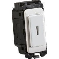 Show details for 20AX Double Pole Grid Secret Key Module, White, White Trim, Curved Edge Range