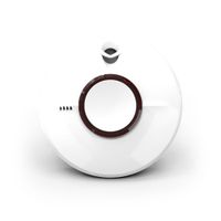 Show details for Thermoptek Multi-Sensor Smoke Alarm with 10 Year Sealed Lithium Battery