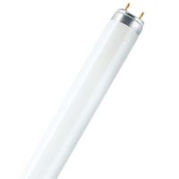 Show details for  36W T8 Fluorescent Tube 1200mm G13