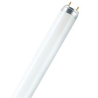 Show details for  18W T8 Fluorescent Tube 590mm G13