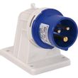 Show details for  32A Angled Surface Appliance Inlet, 240V, 2P+E, IP44, Blue