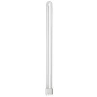 Show details for  40W Compact Fluorescent Lamp 4 Pin 2G11