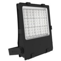 Show details for  80W-150W Havasu LED Floodlight, 5000K, Asymmetric 50°, IP66, Black