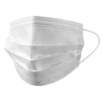 Show details for  3 Ply Disposable Face Mask [Pack of 50]