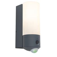 Show details for  Pollux WiFi Camera & Integrated LED Wall Light, Dark Grey, 1200lm, 3000K