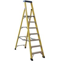Show details for  Platform Step Ladder, 8 Tread, Fibre Glass