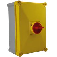 Show details for  100A Rotary Isolator, 4 Pole, IP66, Saturn Range