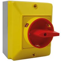 Show details for  20A Rotary Isolator, 4 Pole, IP66, Saturn Range