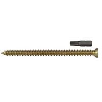 Show details for  Concrete Frame Screw with Torx Bit, 7.5mm x 122mm, TX30 [Pack of 100]