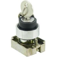 Show details for  22.5mm Key Operated Selector Switch, 2 Position, Metal, IP65