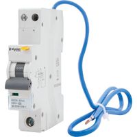 Show details for  6A RCBO, 1 Pole + Neutral, B Curve, Type A, 6kA