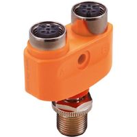 Show details for  Y-Splitter Connector, M12, Orange