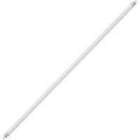 Show details for  2ft T5 Fluorescent Tube, 24W, 6400K, G5, 549mm, Non Dimmable