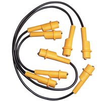 Show details for  Jump Leads for Insulation & R1+R2 Testing