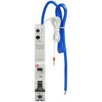 Show details for  40A RCBO, 1 Pole + Neutral, C Curve, Type A, 10kA