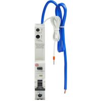 Show details for 10A RCBO, 1 Pole + Neutral, C Curve, Type A, 10kA