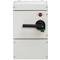 Show details for 100A 3P+N Fuse Combination Unit with Fuse, 3 Pole + Neutral, Steel, IP4X