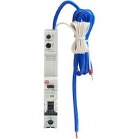 Show details for  16A RCBO with Long Tail, 1 Pole + Neutral, C Curve, Type A, 10kA