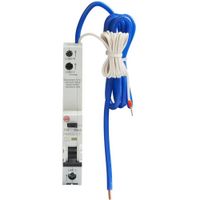 Show details for 32A RCBO with Long Tail, 1 Pole + Neutral, C Curve, Type A, 10kA