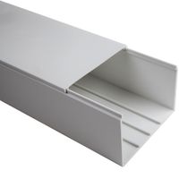 Show details for 50mm x 100mm White Maxi Trunking (3mt)
