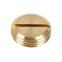 Show details for  20mm Brass Slotted Plug