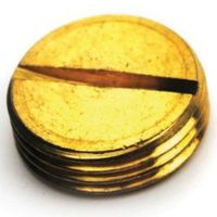Show details for  25mm Brass Slotted Plug
