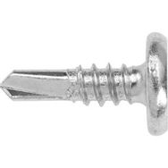 Picture for category  Self Tapping & Drilling Screws