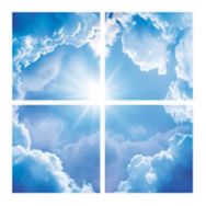 Picture for category  LED Sky Panels